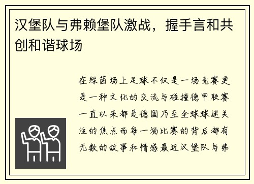 汉堡队与弗赖堡队激战，握手言和共创和谐球场